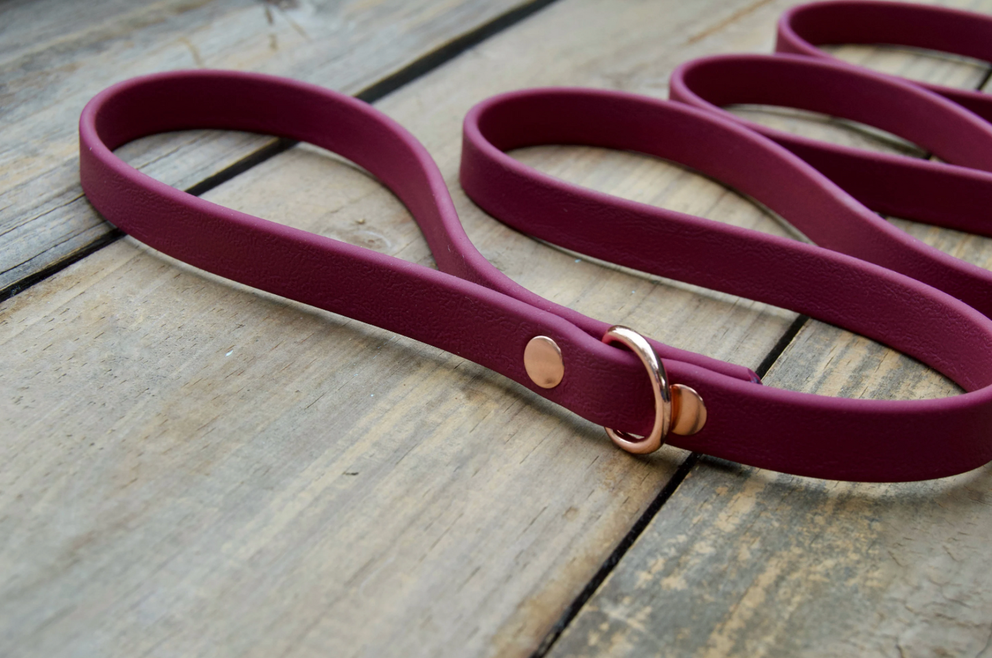 Single Color Biothane Dog Leash