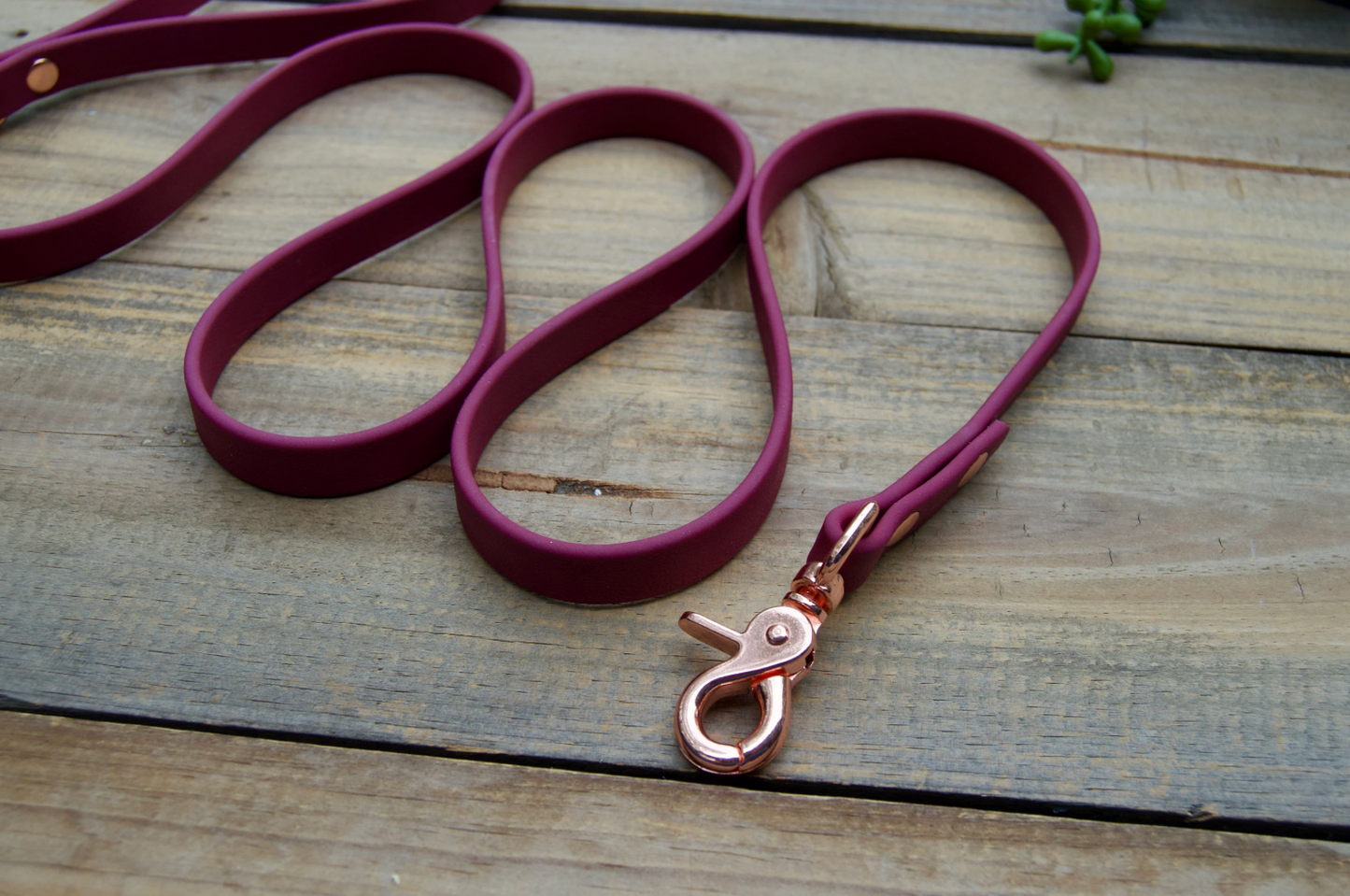 Single Color Biothane Dog Leash