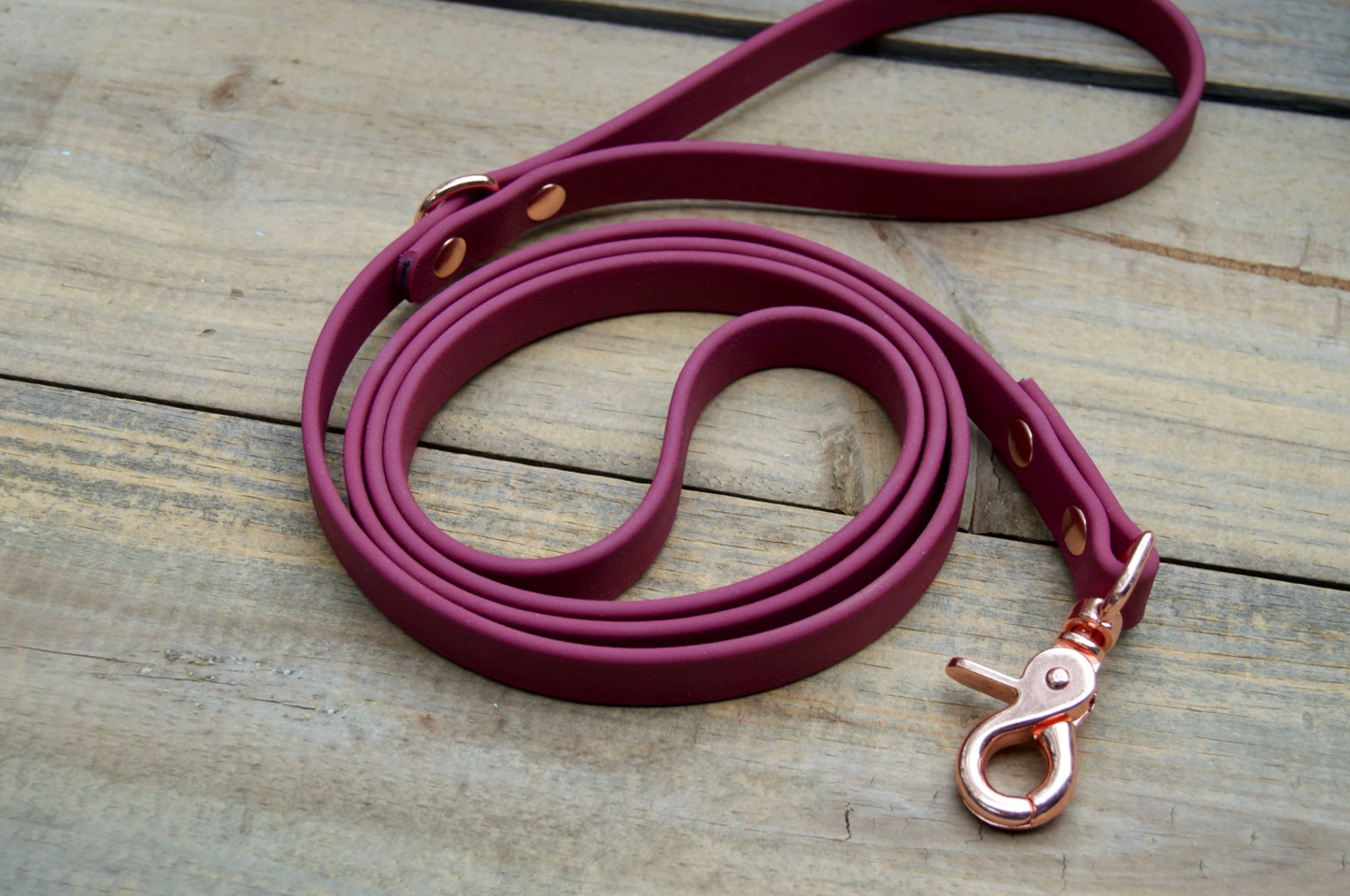 Single Color Biothane Dog Leash