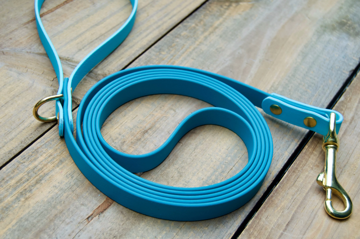 Two Color Biothane Dog Leash