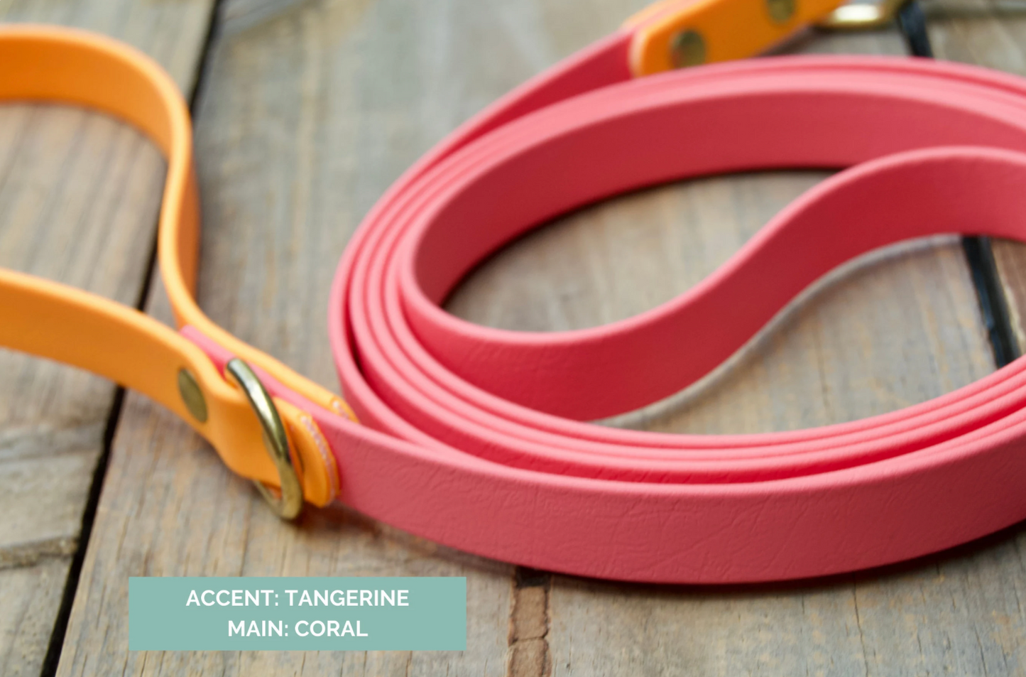 Two Color Biothane Dog Leash