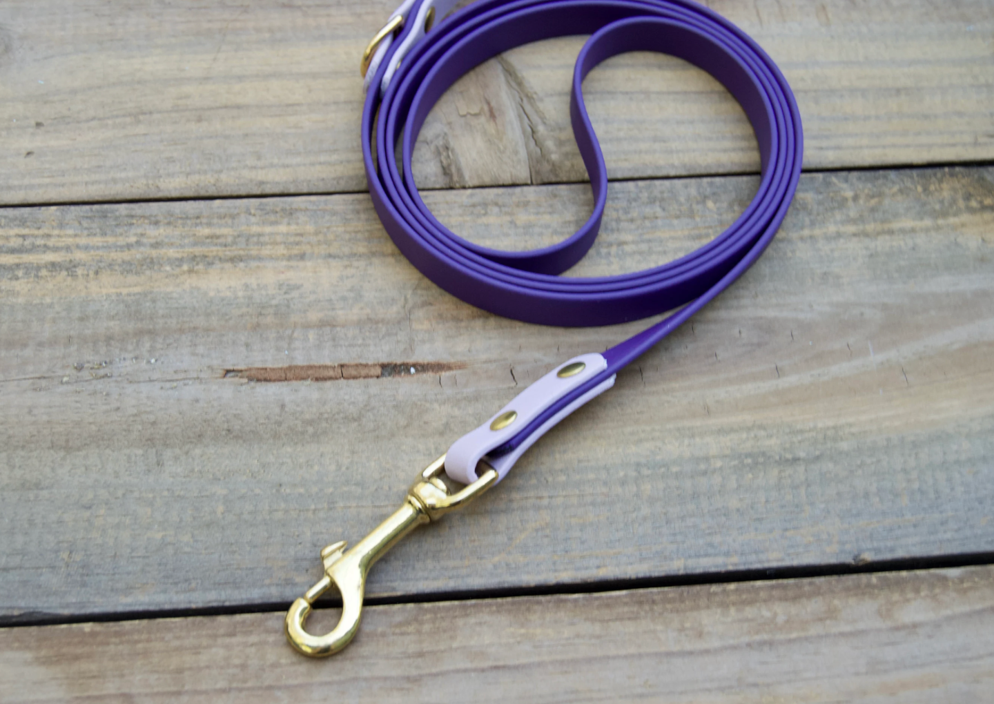 Two Color Biothane Dog Leash