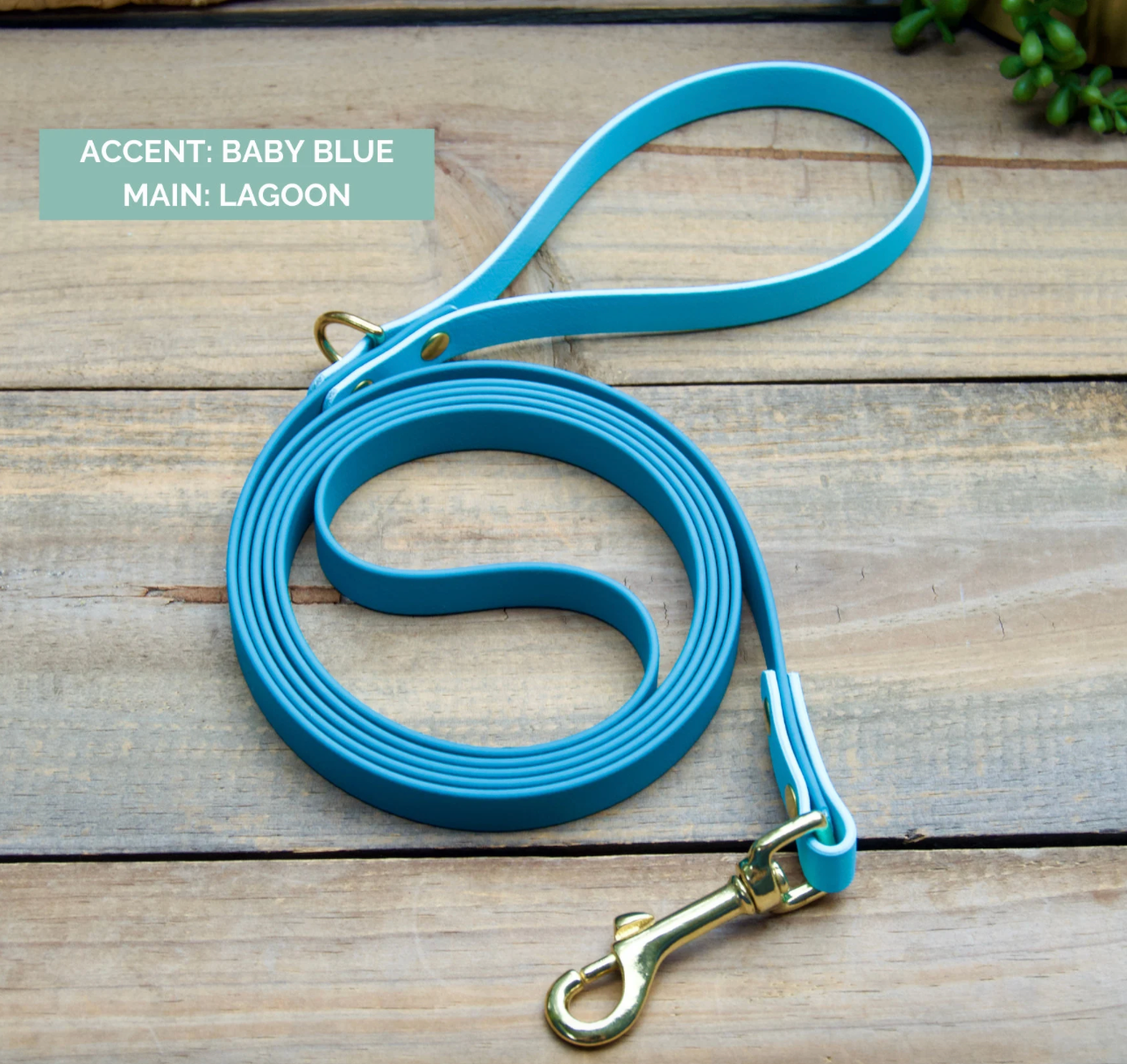 Two Color Biothane Dog Leash