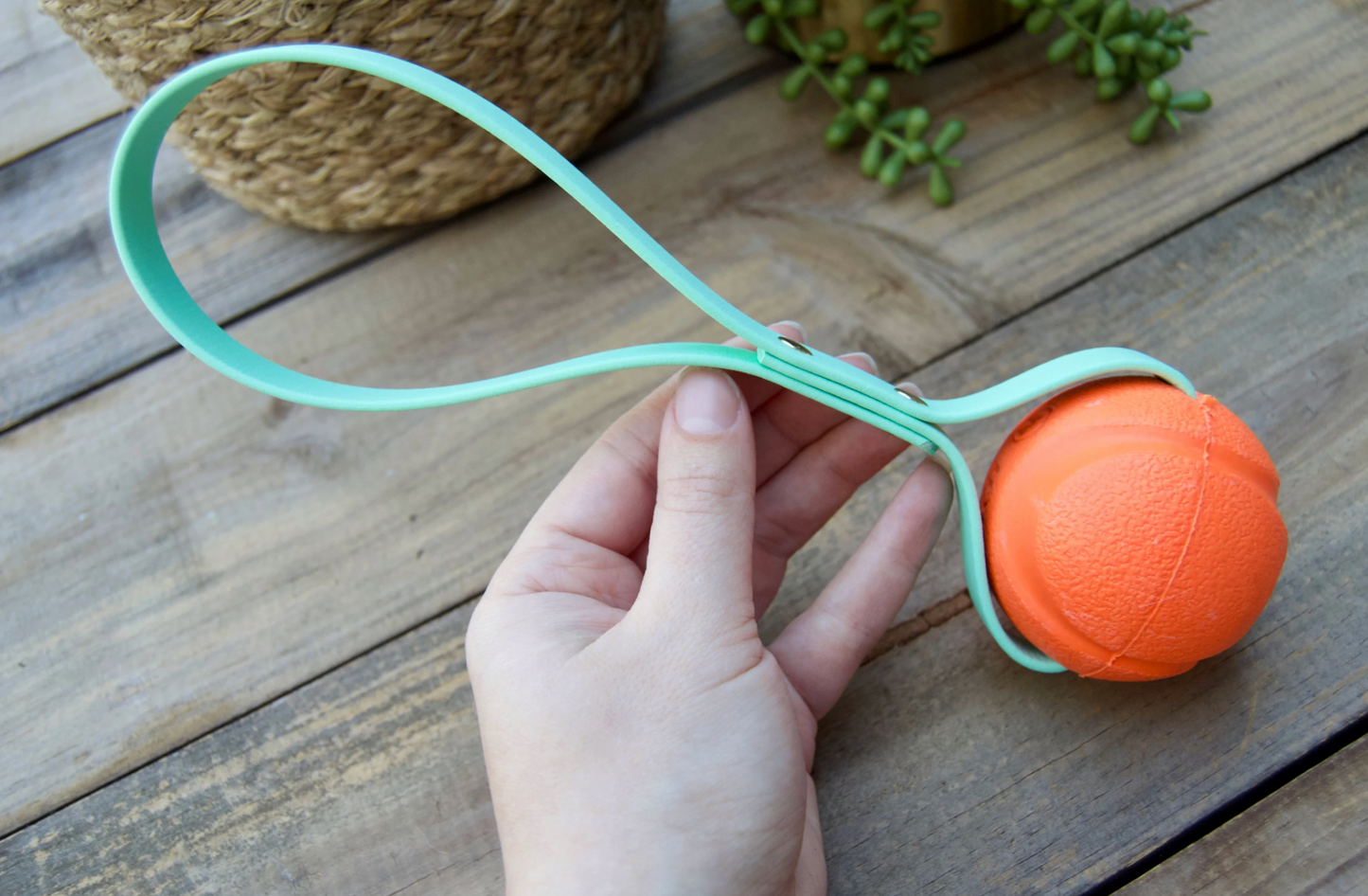 Biothane Dog Ball Tug Toy Reward