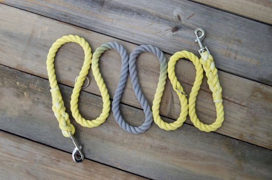 Custom Two Color End Handsfree Rope Dog Leash