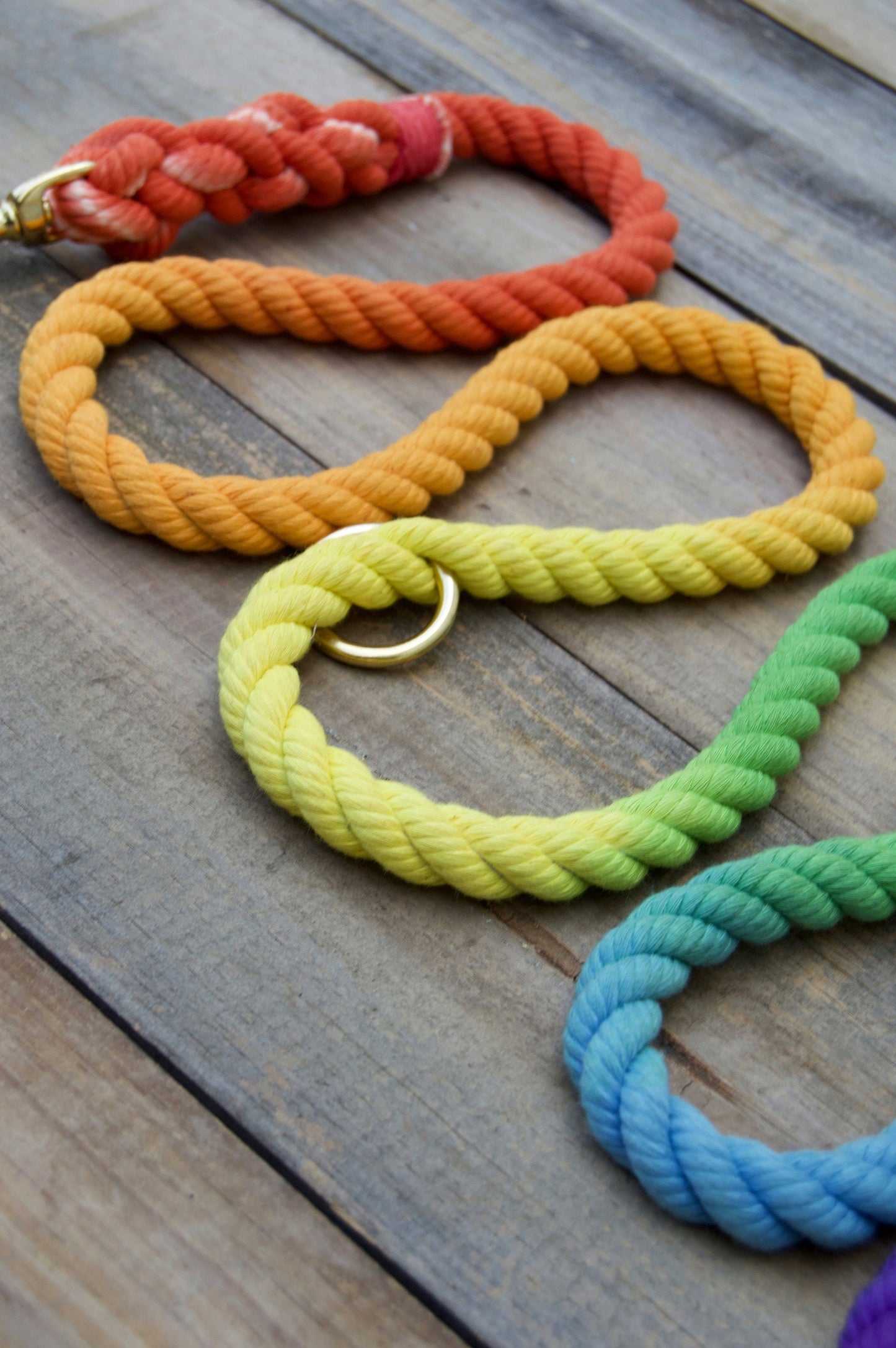 RAINBOW: Handsfree Rope Dog Leash