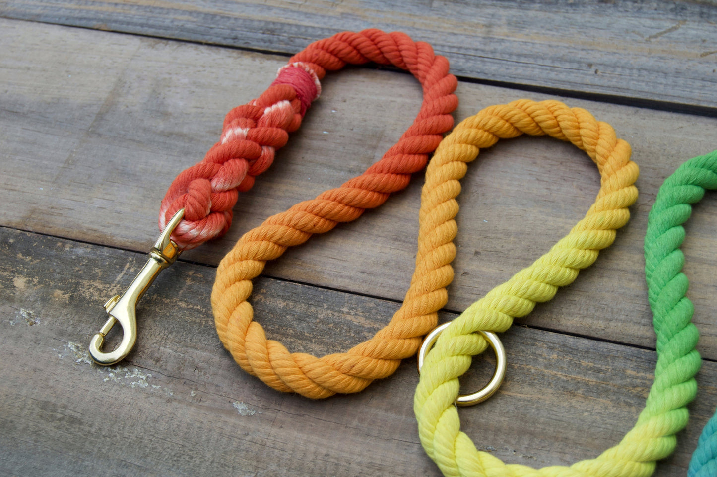 RAINBOW: Handsfree Rope Dog Leash