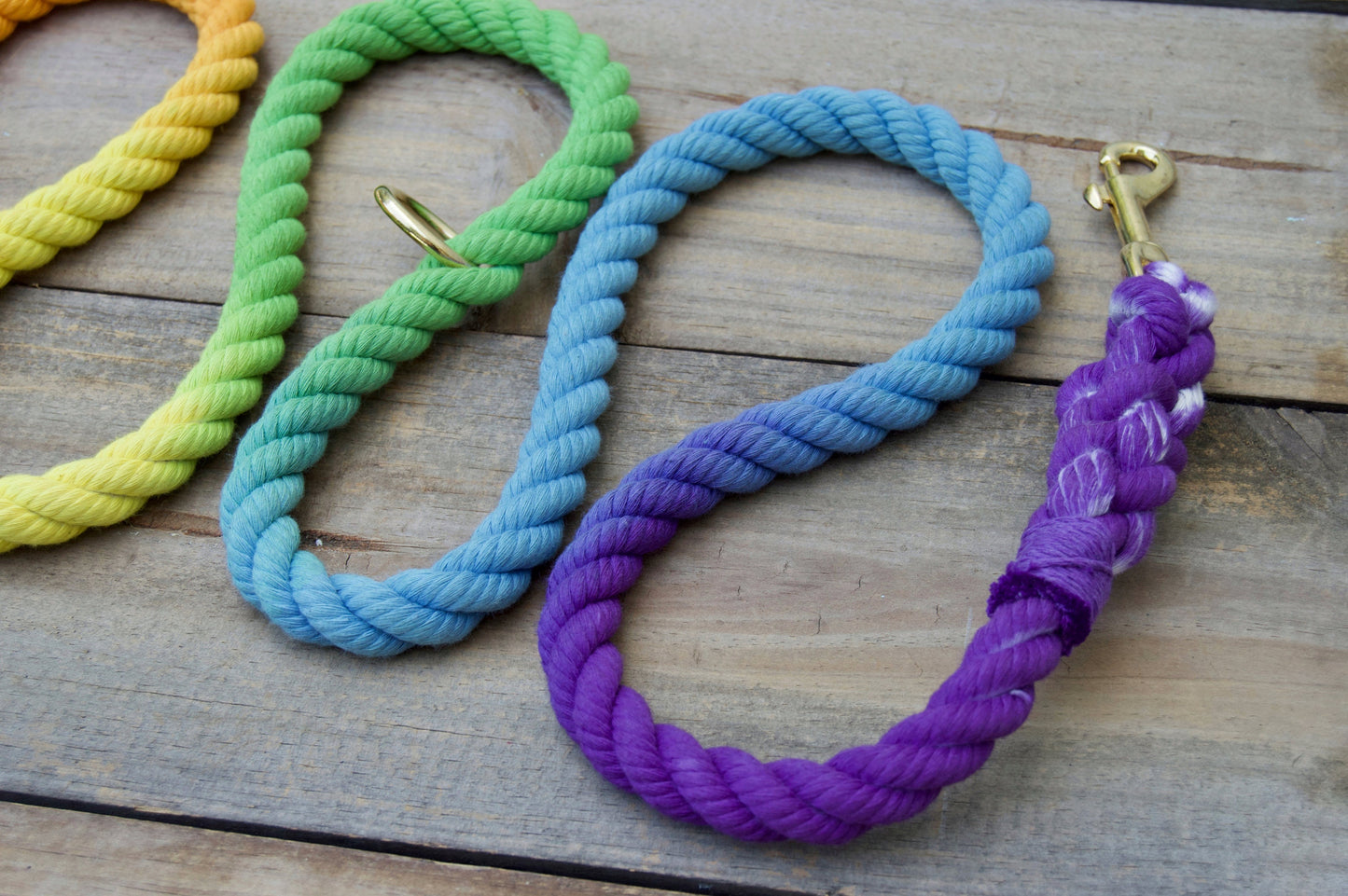 RAINBOW: Handsfree Rope Dog Leash