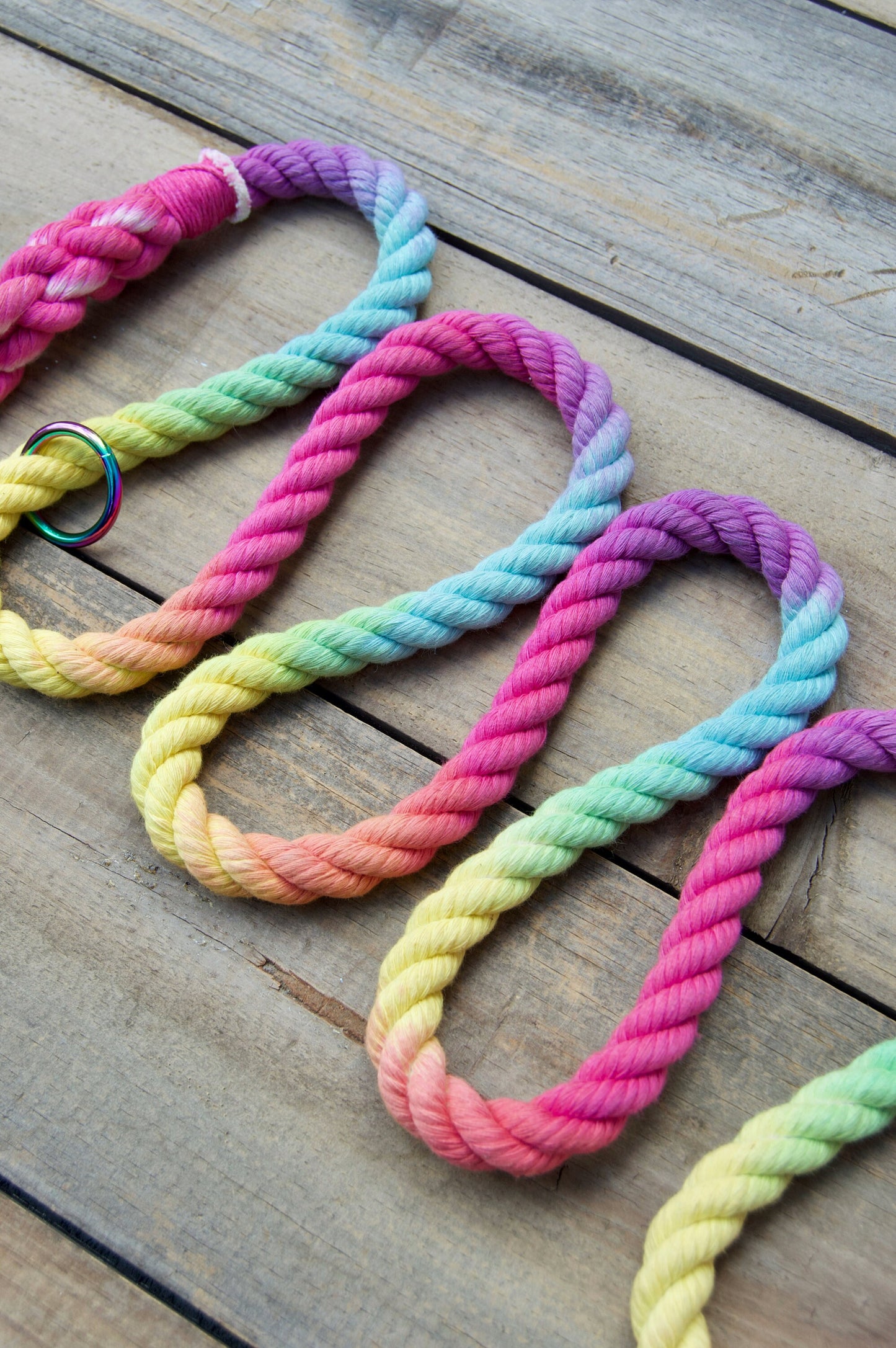 SNOWCONE: Handsfree Rope Dog Leash