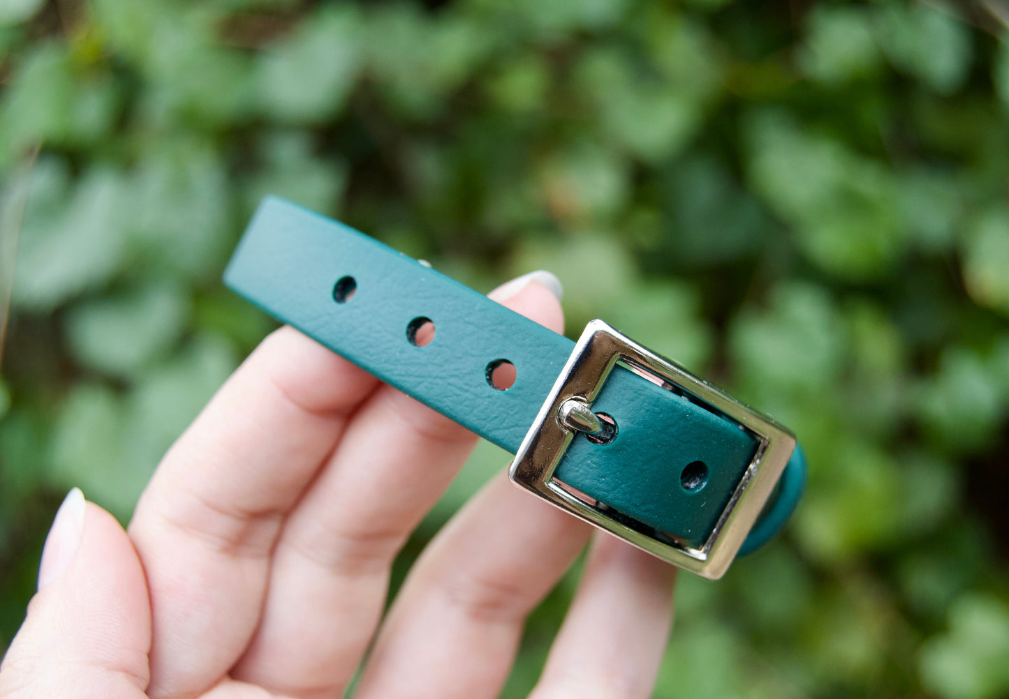 Mini Classic 5/8IN Biothane Dog Collar