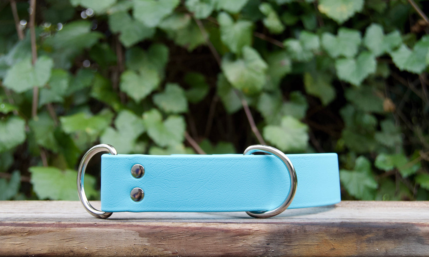 XL Slip Collar Biothane Dog Collar