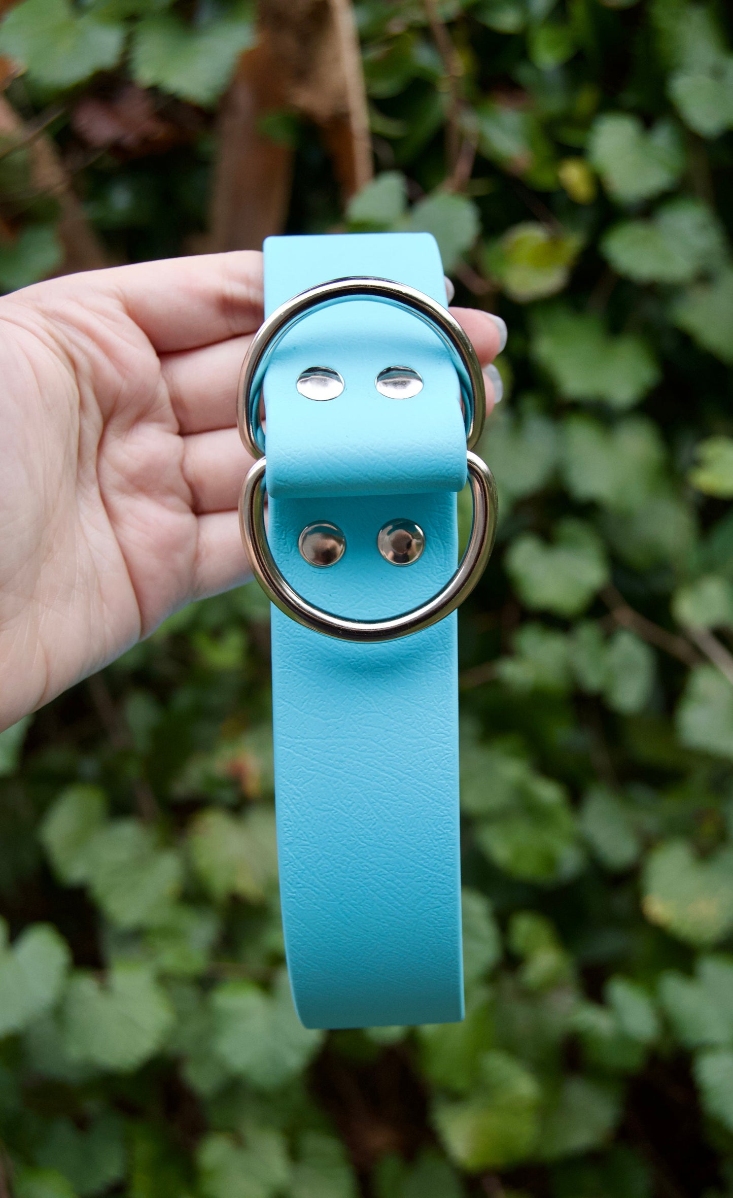 XL Slip Collar Biothane Dog Collar