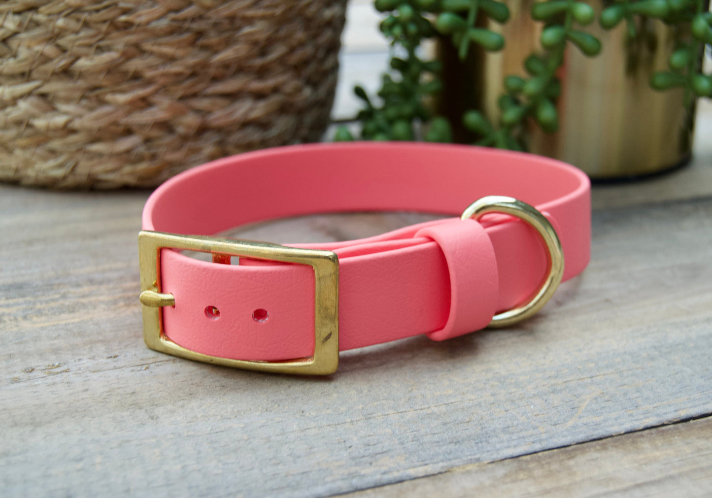 Classic 1IN Biothane Dog Collar