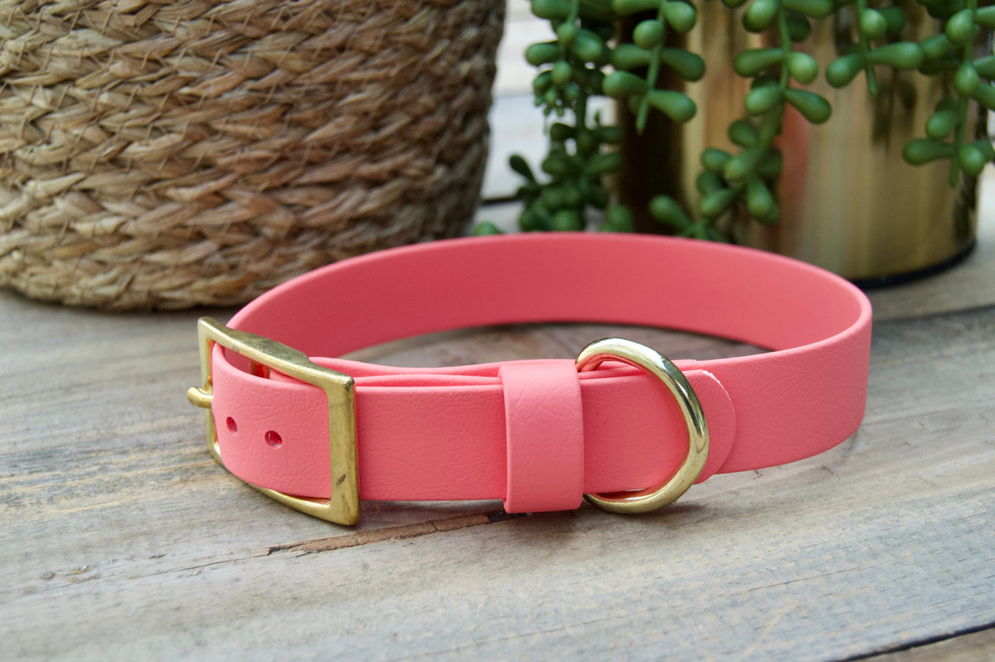 Classic 1IN Biothane Dog Collar
