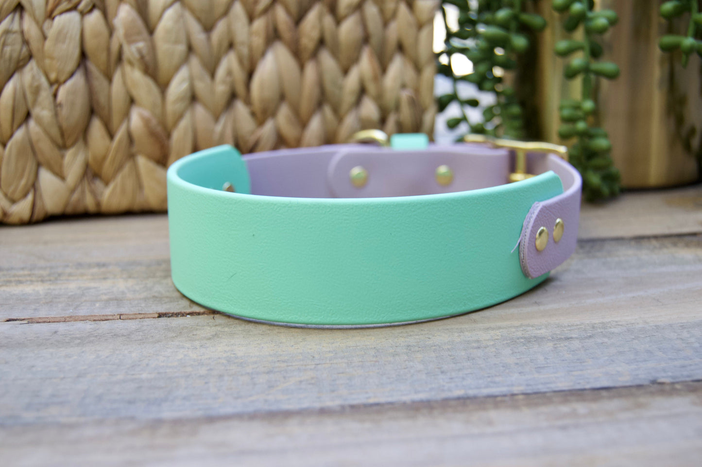 Tapered Double Layer Biothane Dog Collar
