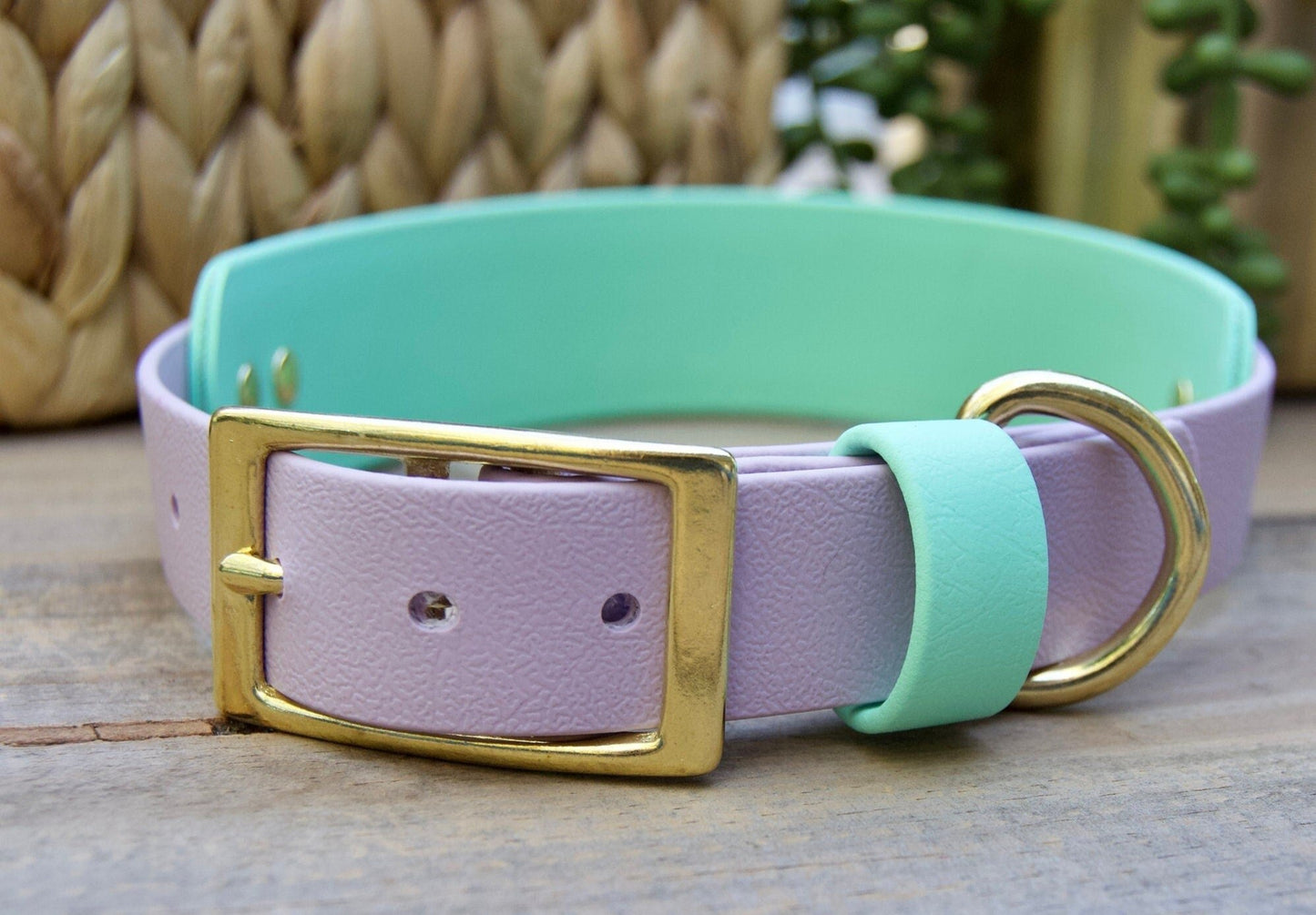 Tapered Double Layer Biothane Dog Collar