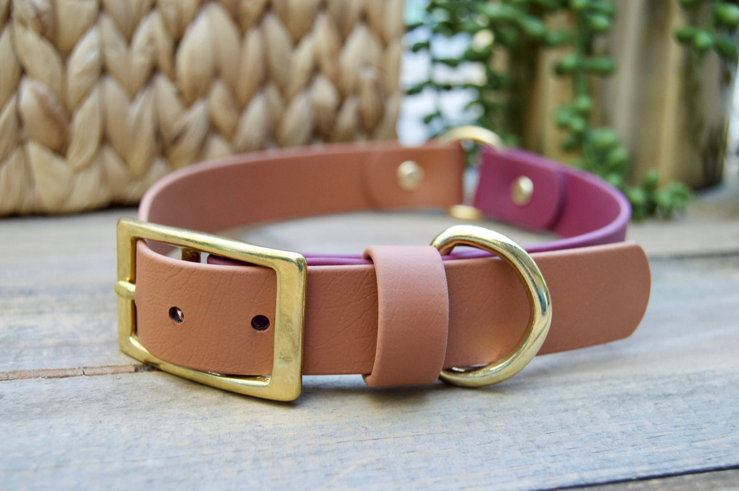Center O-Ring Biothane Dog Collar