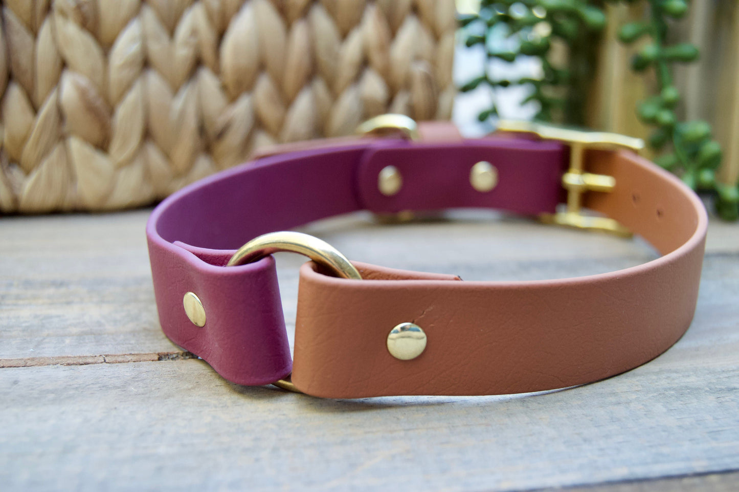 Center O-Ring Biothane Dog Collar