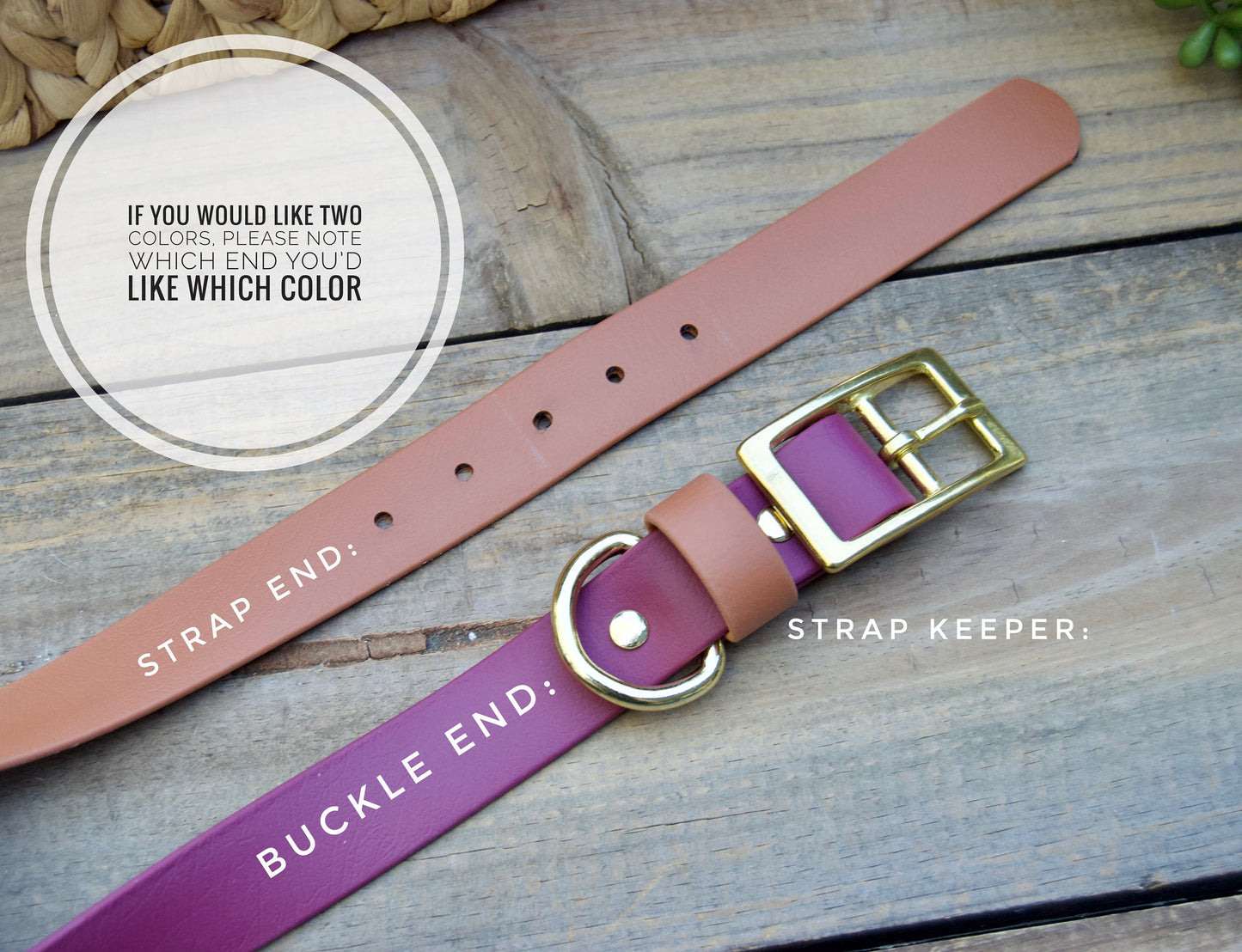 Center O-Ring Biothane Dog Collar