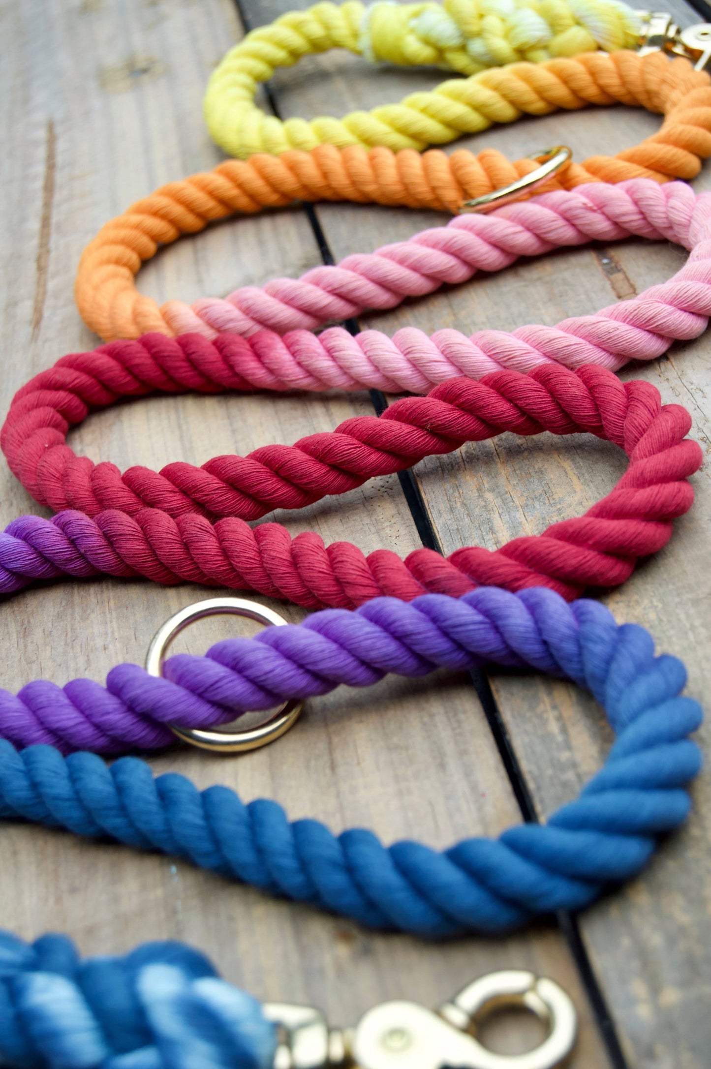 SUNSET: Handsfree Rope Dog Leash