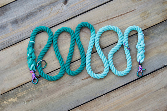 TEAL - AQUA Handsfree Rope Dog Leash