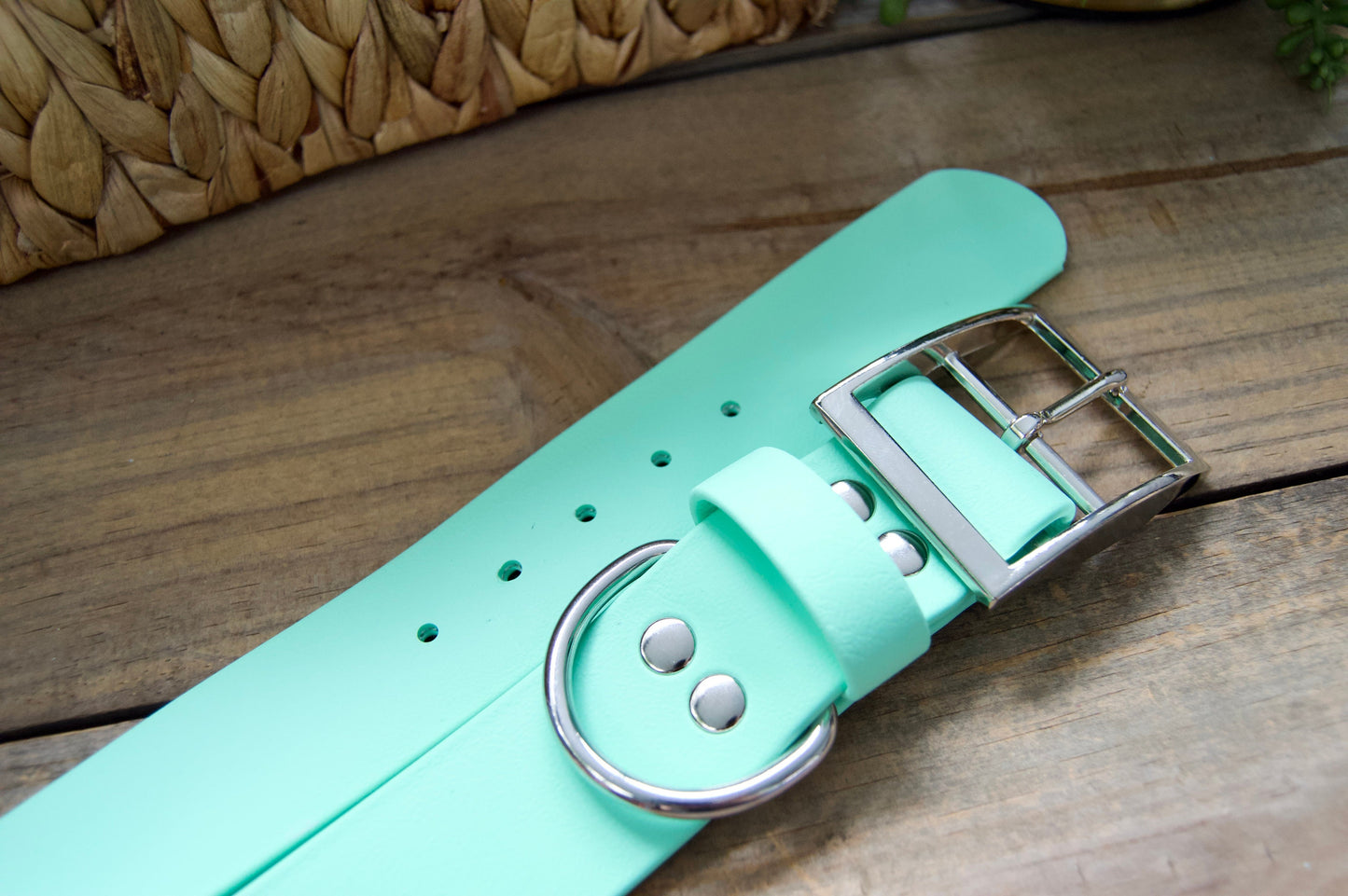 XL 1.5IN Biothane Dog Collar