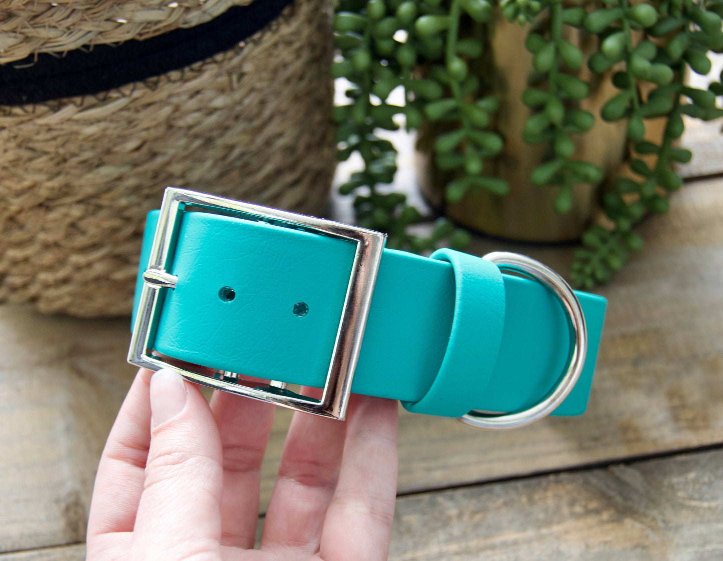 XL 1.5IN Biothane Dog Collar