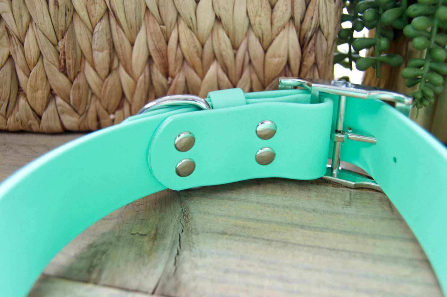 XL 1.5IN Biothane Dog Collar