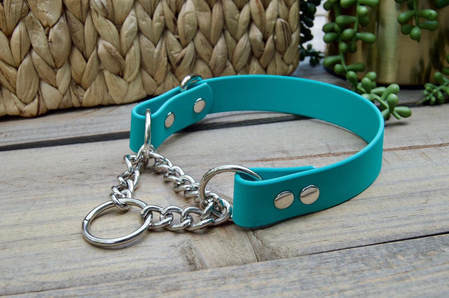 Single Color Martingale Biothane Dog Collar