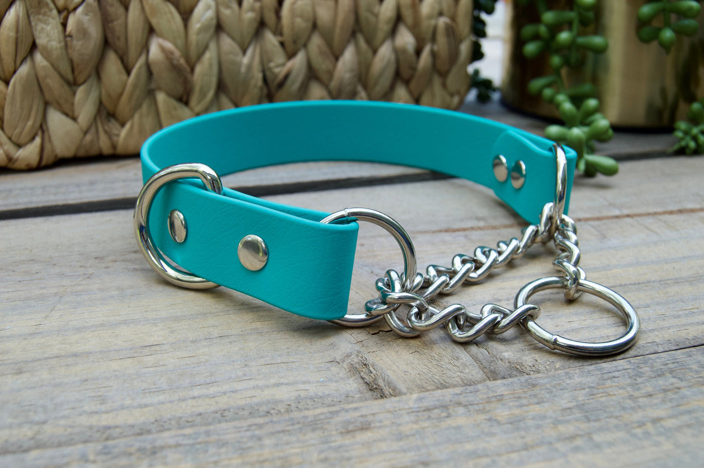 Single Color Martingale Biothane Dog Collar