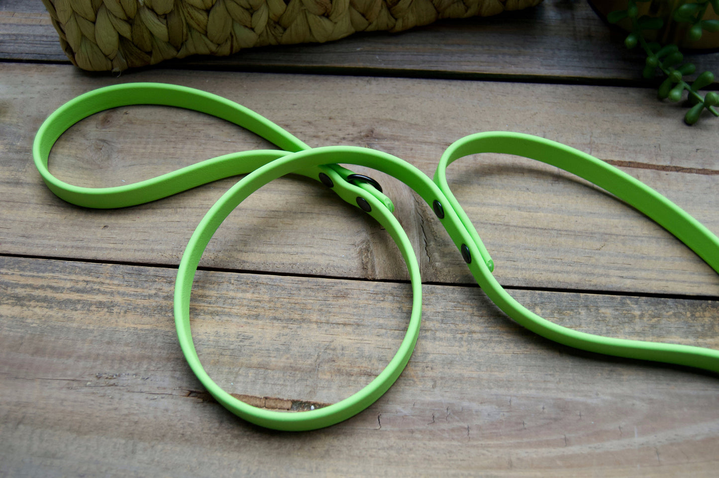 Traffic Handle Biothane Dog Leash