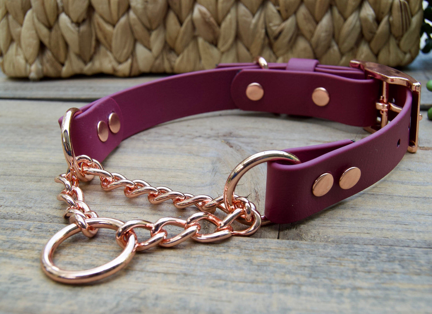 Martingale Adjustable Biothane Dog Collar