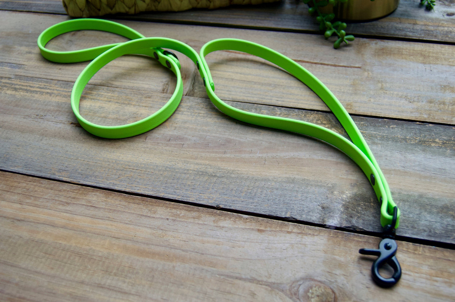 Traffic Handle Biothane Dog Leash