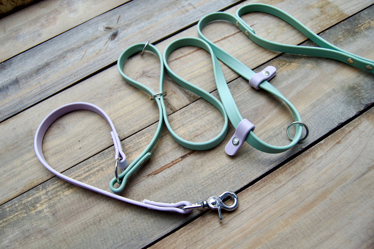 Handsfree Biothane Dog Leash with Traffic Handle