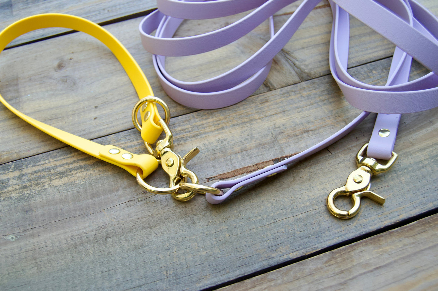 Biothane Recall Long Line Dog Leash