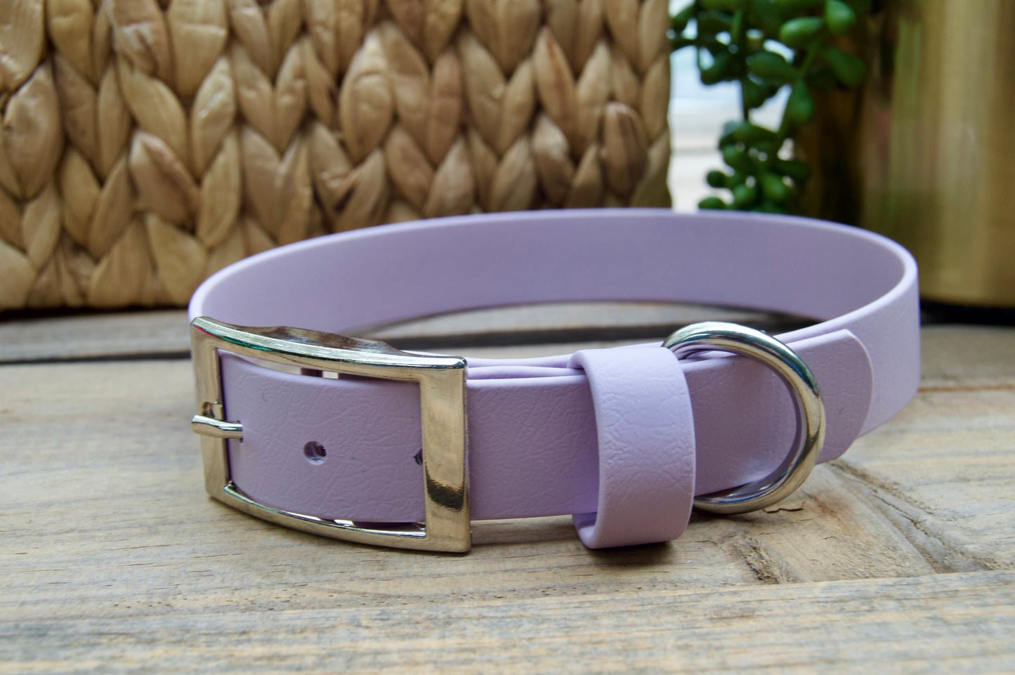 Classic 1IN Biothane Dog Collar