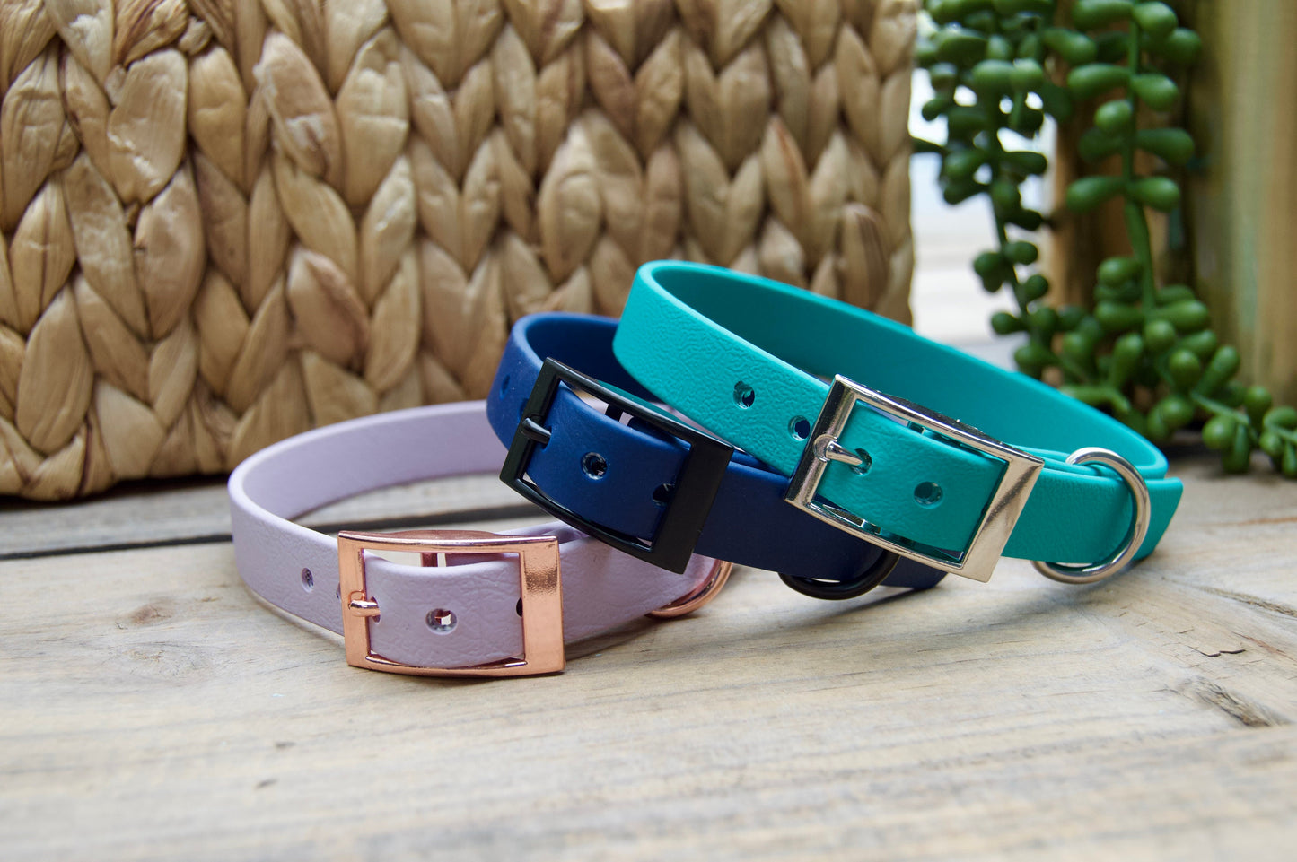 Mini Classic 5/8IN Biothane Dog Collar