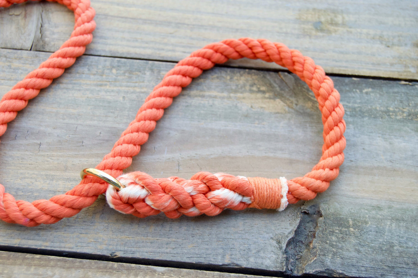 Rope Slip Dog Leash