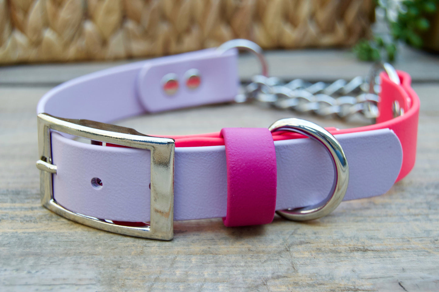 Martingale Adjustable Biothane Dog Collar