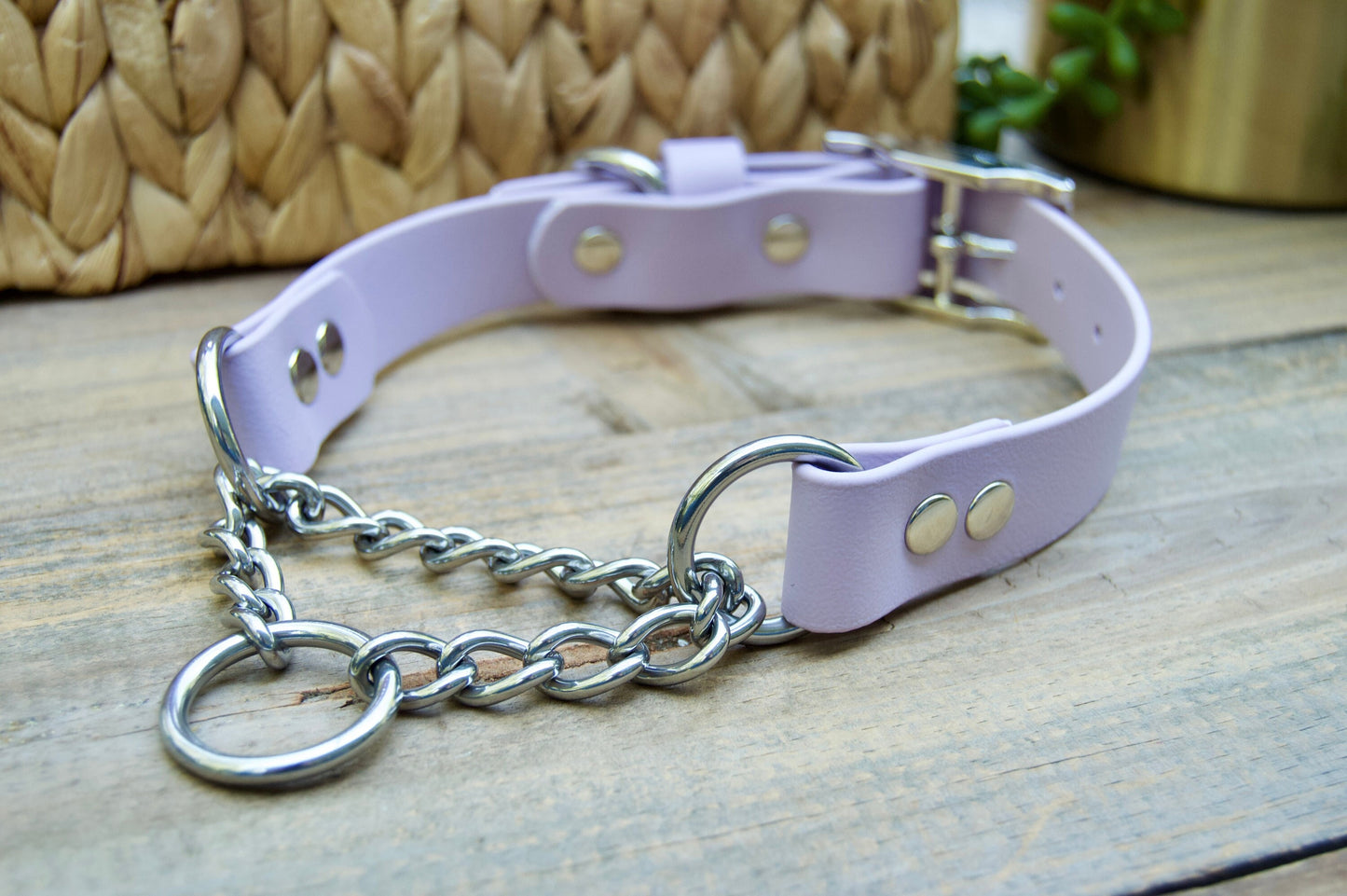 Martingale Adjustable Biothane Dog Collar