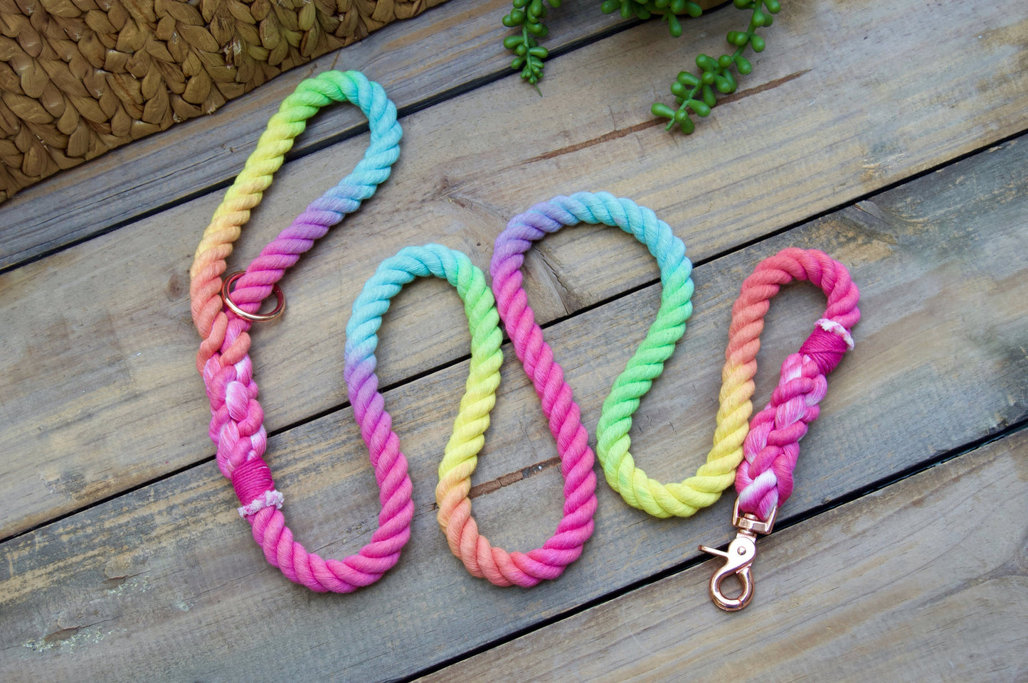 SNOWCONE: Rope Dog Leash
