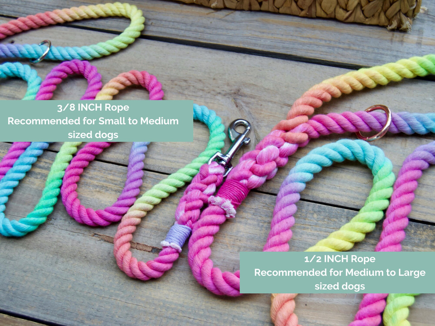 SNOWCONE: Rope Dog Leash