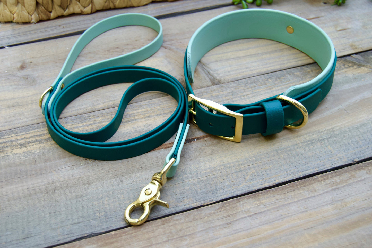 Bundle of Double Layer Biothane Dog Collar and Leash