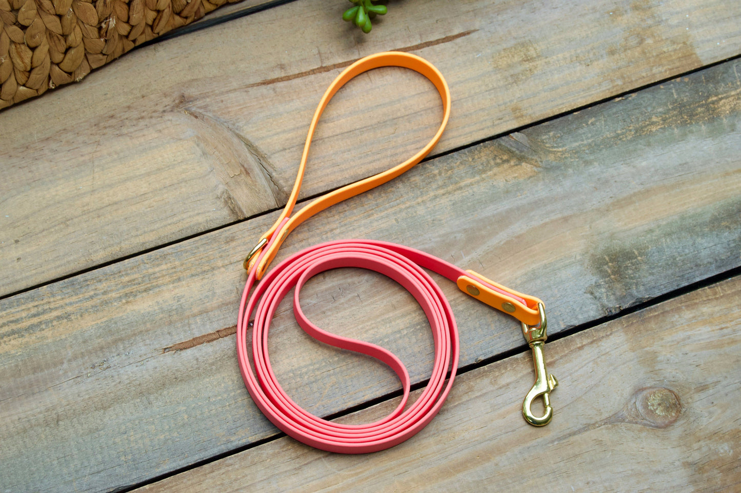 Two Color Biothane Dog Leash