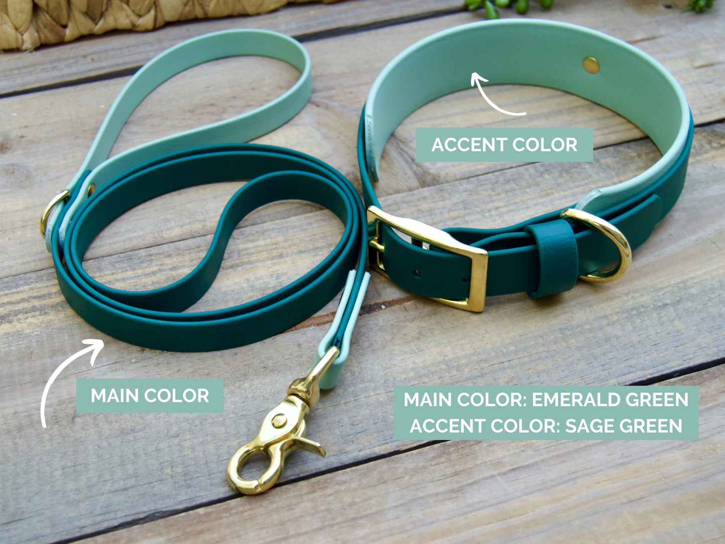 Bundle of Double Layer Biothane Dog Collar and Leash