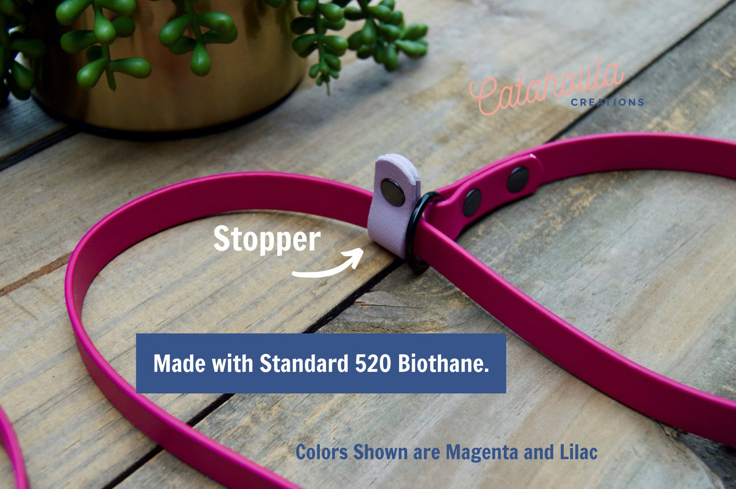 Slip Leash Biothane Dog Leash