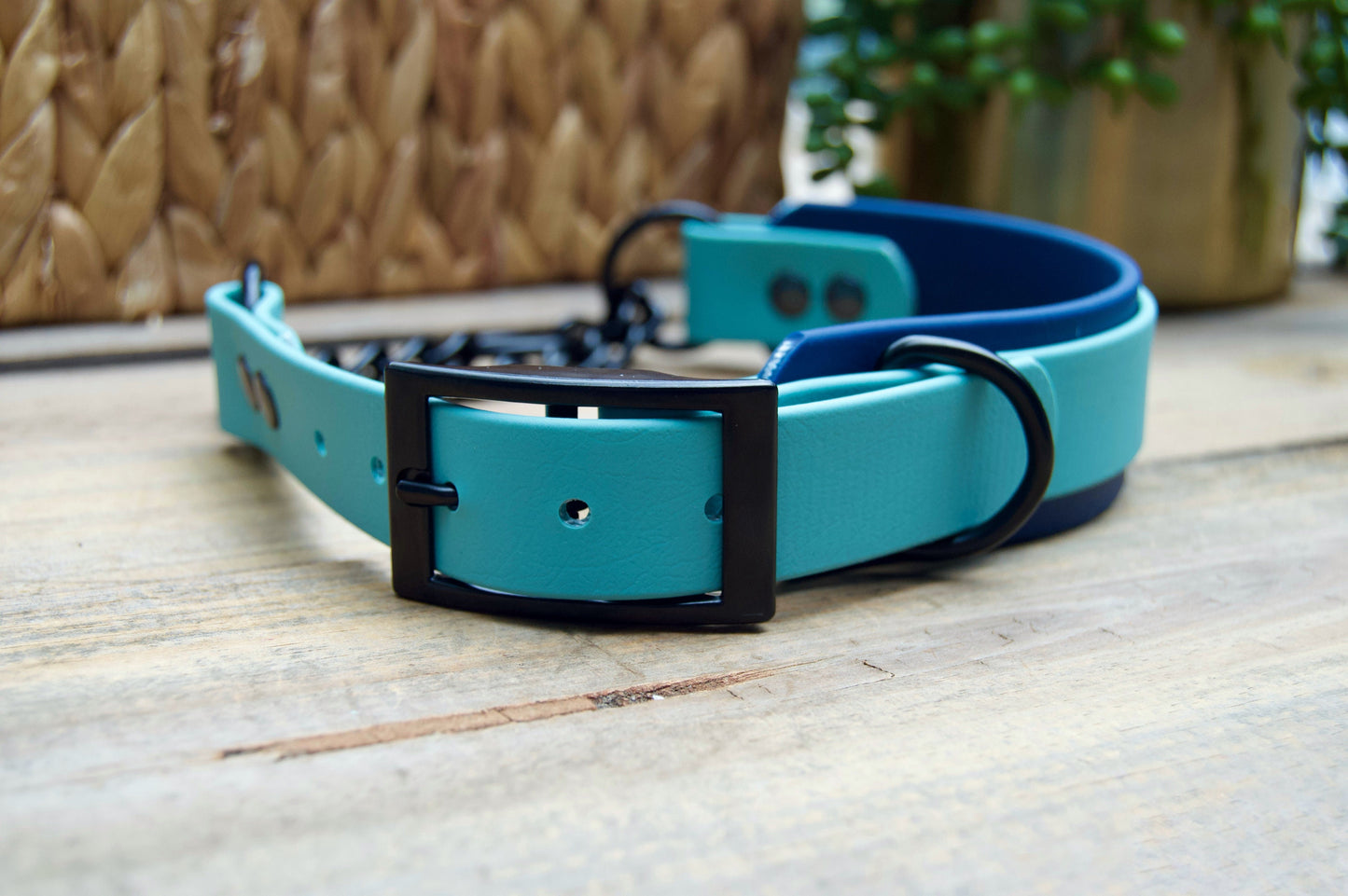 Adjustable Two Color Tapered Martingale Biothane Dog Collar