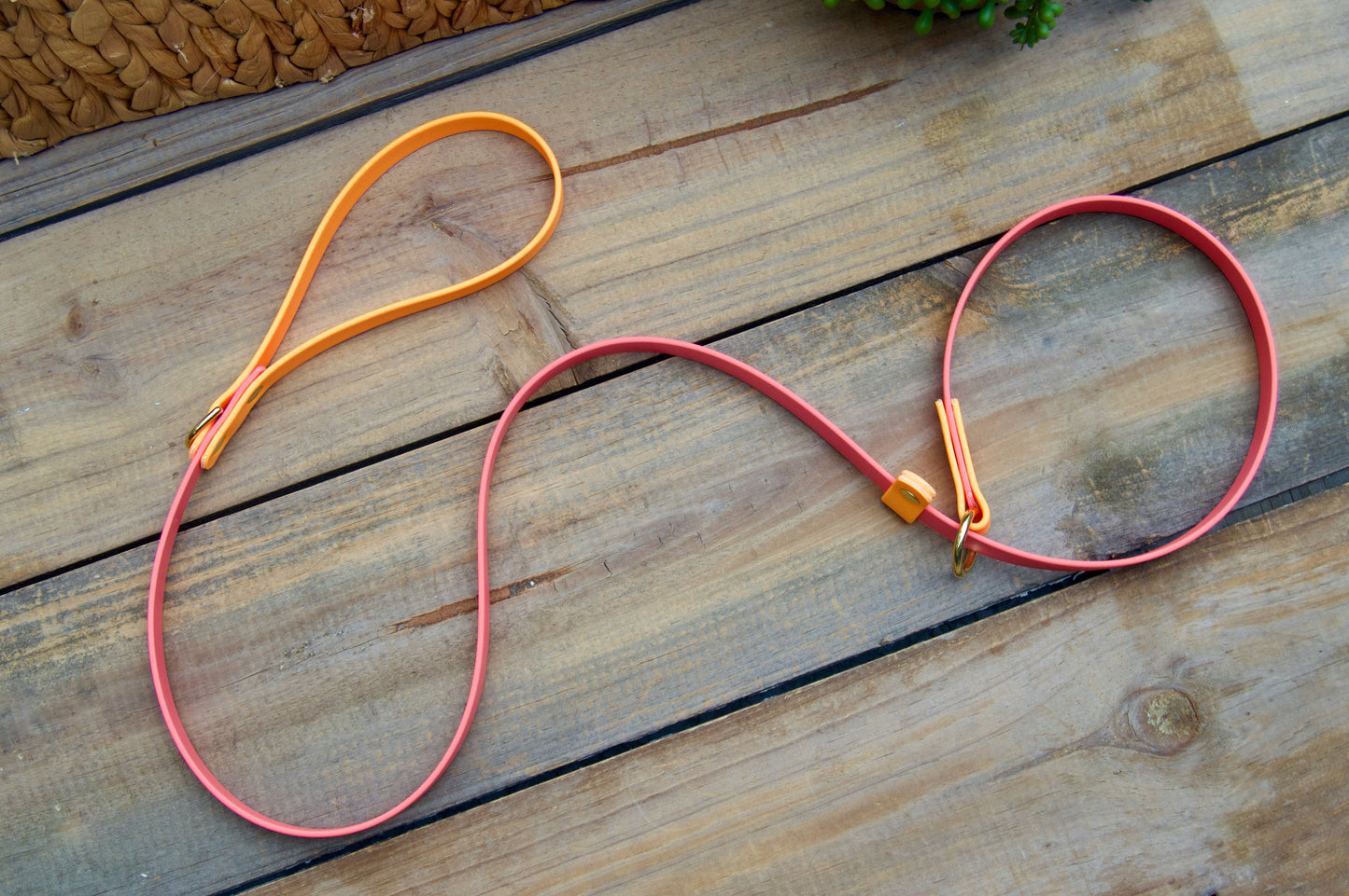 Two Color Slip Leash Biothane Dog Leash