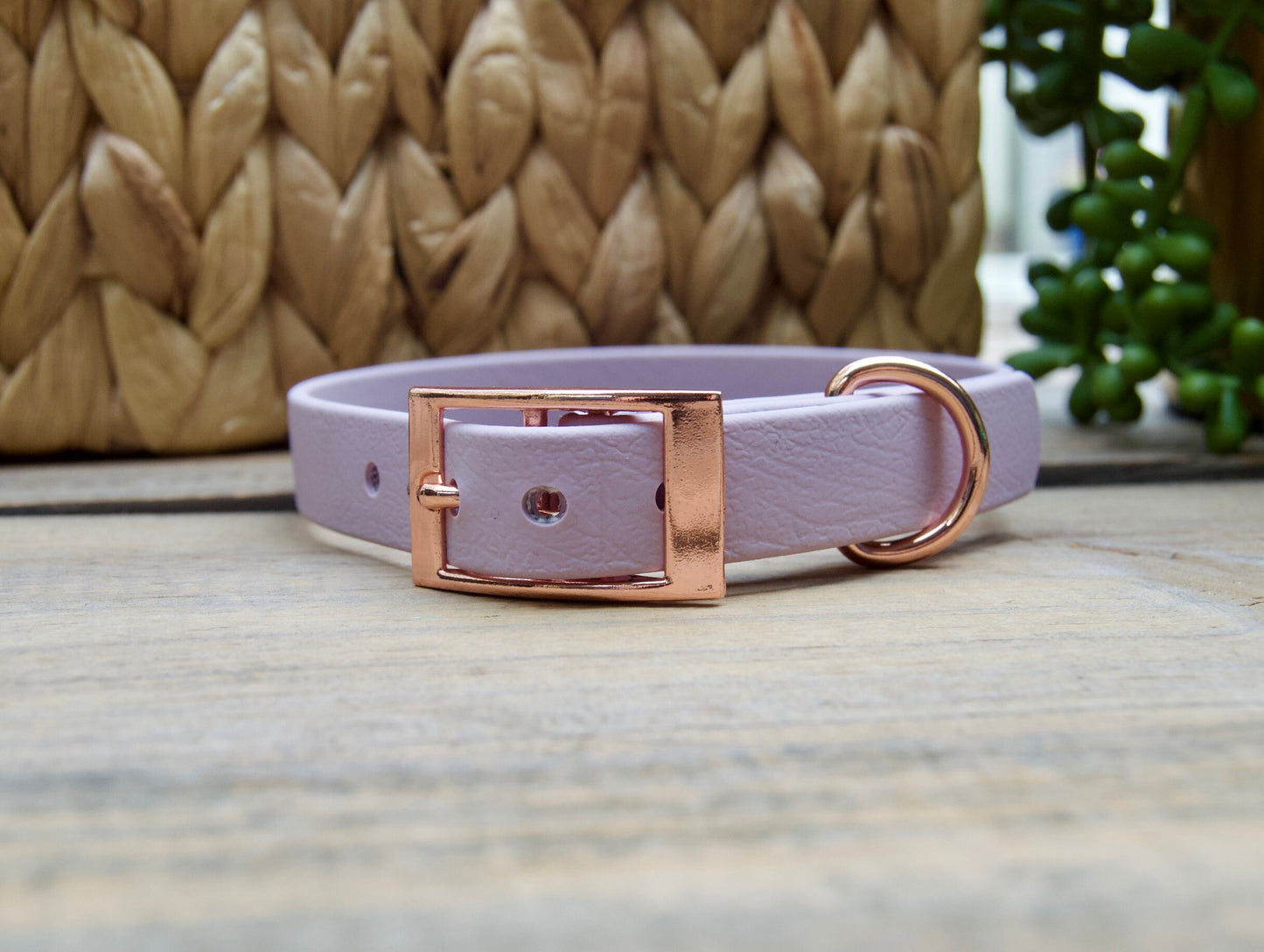 Mini Classic 5/8IN Biothane Dog Collar