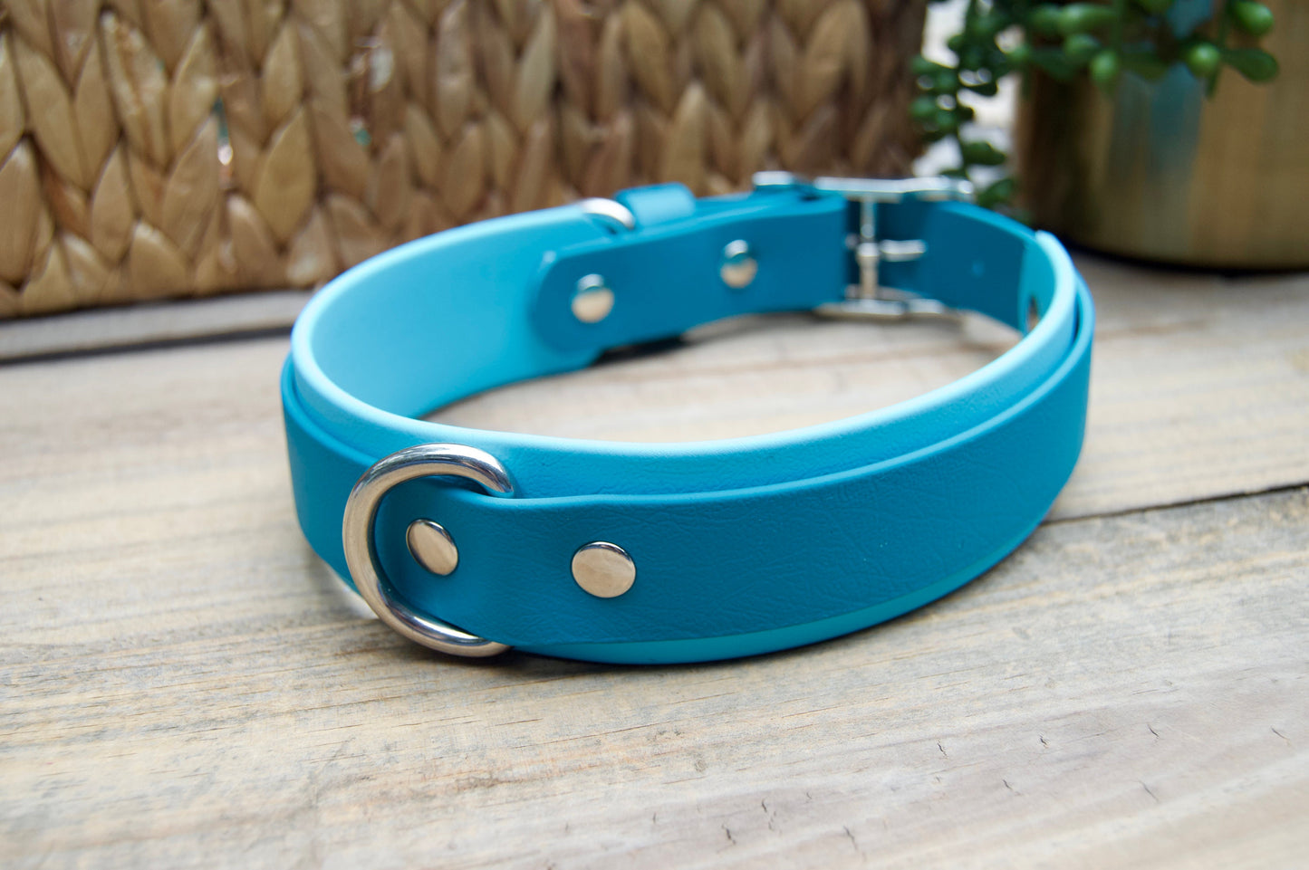 Double Layer Biothane Dog Collar with Rear D-Ring